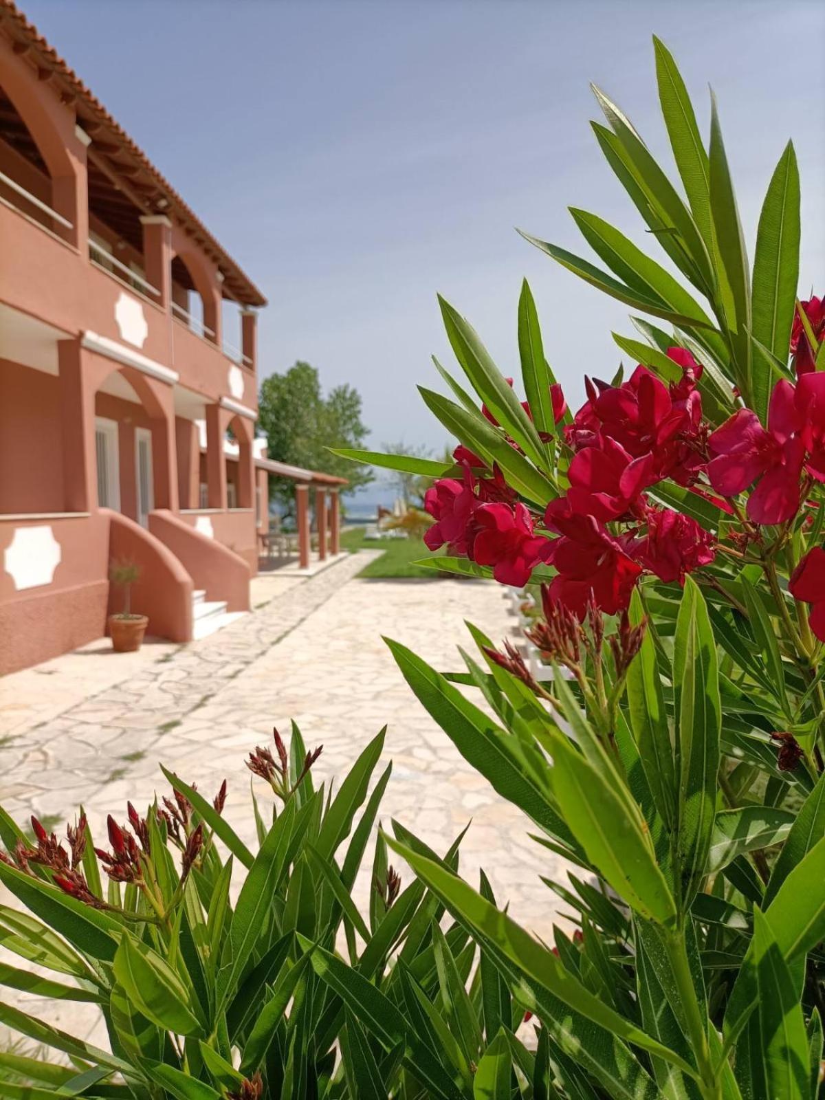 Melador Beachfront Apartments Kávos Екстериор снимка